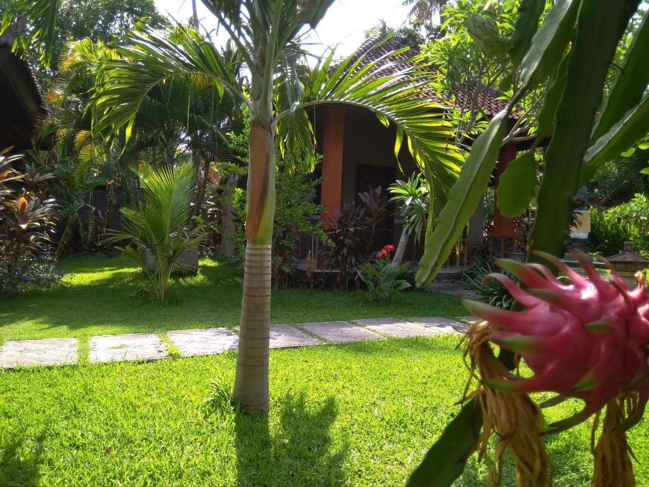 Suka Sari Cottages Pemuteran Exterior foto